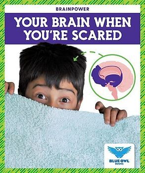 Your Brain When You're Scared