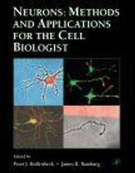 Neurons: Methods and Applications for the Cell Biologist - Peter J. Hollenbeck & James R. Bamburg [Paperback]