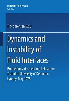 Dynamics and Instability of Fluid Interfaces
