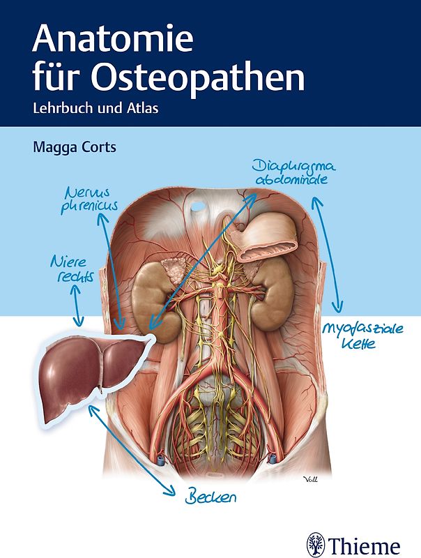 Anatomie für Osteopathen