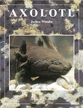 Axolotl