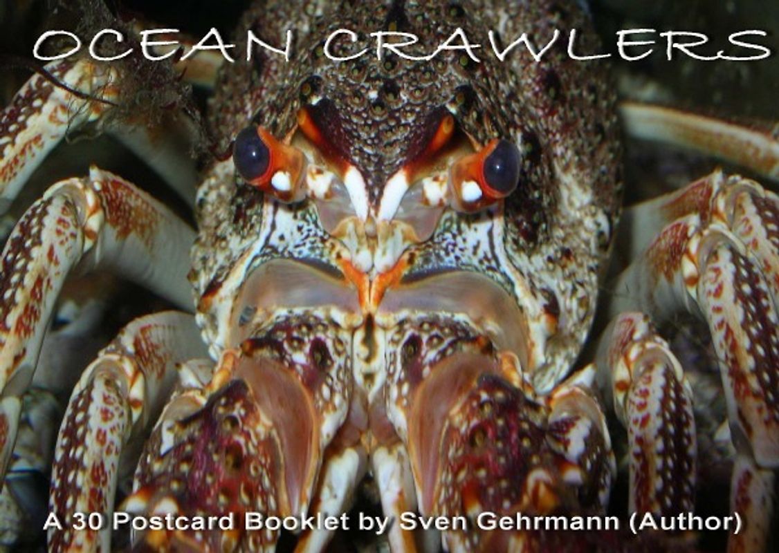 OCEAN CRAWLERS