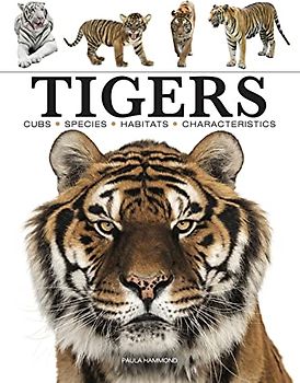 Tigers (Mini Encyclopedia)