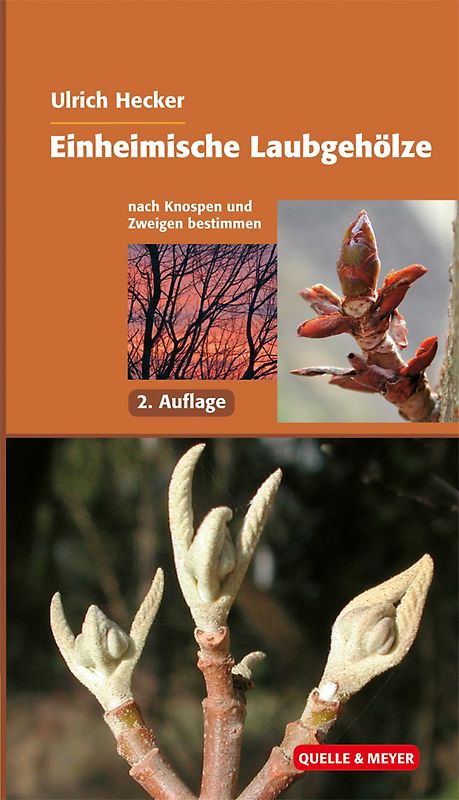 Einheimische Laubgehölze