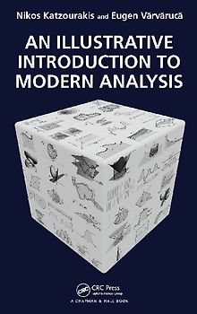 An Illustrative Introduction to Modern Analysis