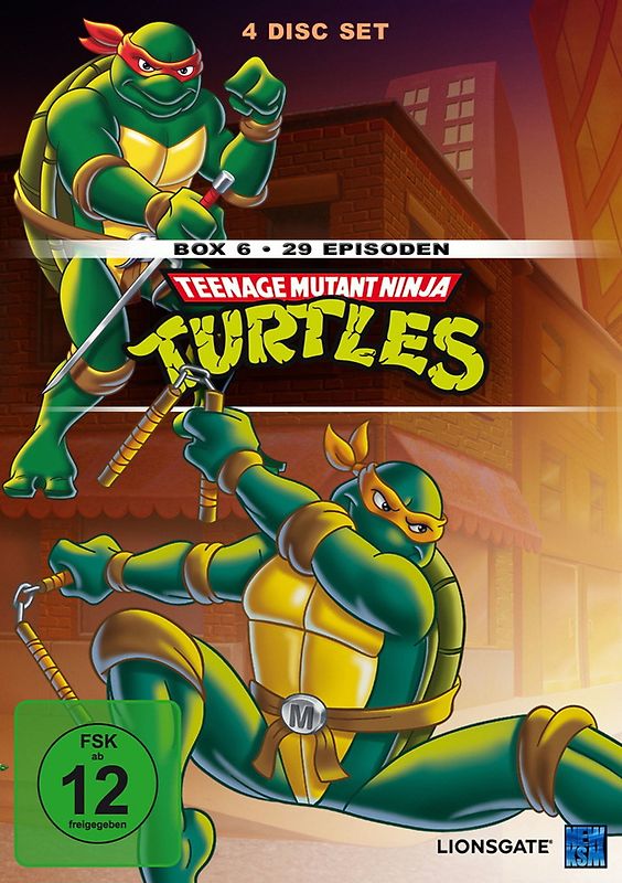 Teenage Mutant Ninja Turtles - Box 6 (Episode 141-169) [4 DVDs] DVD