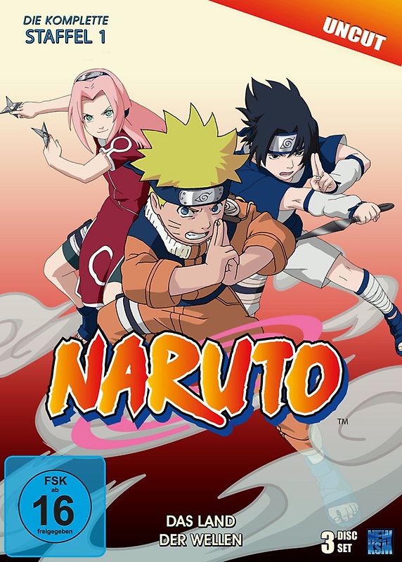 Naruto - Staffel 1: Das Land der Wellen (Episoden 1-19, uncut) [3 DVDs] DVD