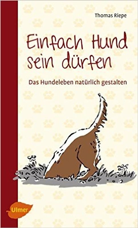 Einfach Hund sein dürfen
