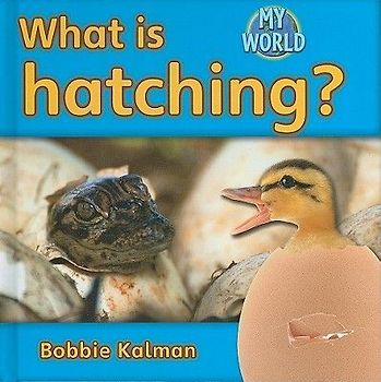 What Is Hatching?
