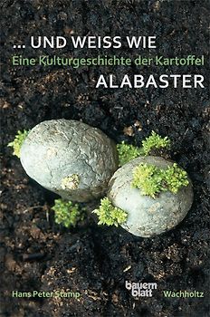 ... und weiß wie Alabaster