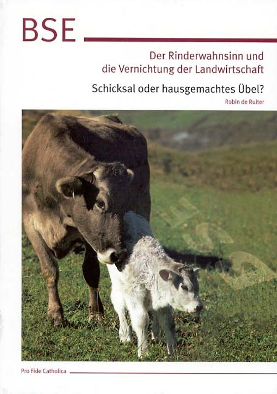 BSE - Der Rinderwahnsinn und die Vernichtung der Landwirtschaft. Schicksal oder hausgemachtes Übel