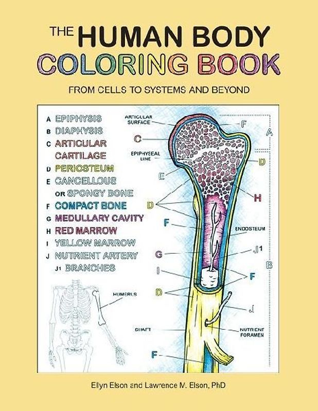 The Human Body Coloring Book