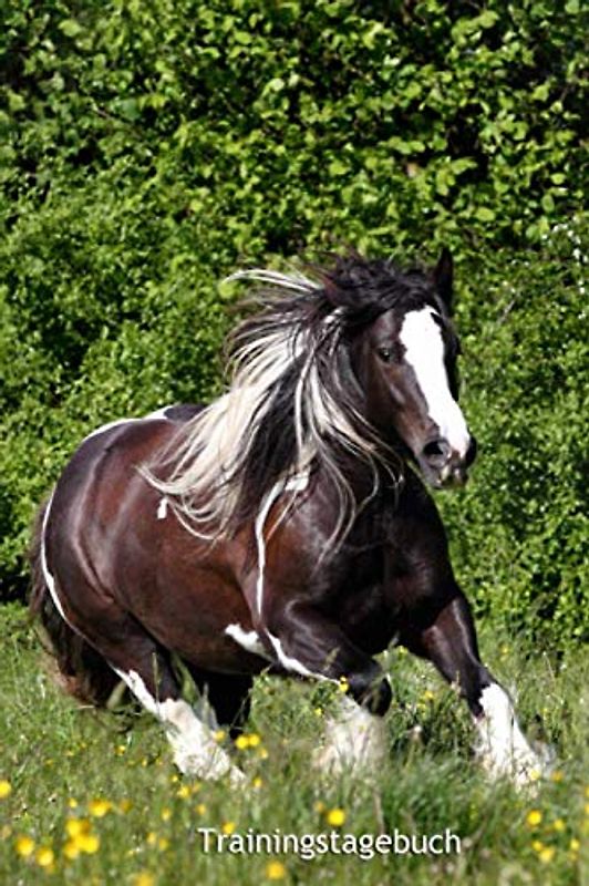 Trainingstagebuch: für ein komplettes Jahr mit Deinem Tinker (datumsunabhängig) (Irish Tinker - alle Bücher: Trainingstagebuch, Krankenakte und Diät Tagebuch, Band 1)