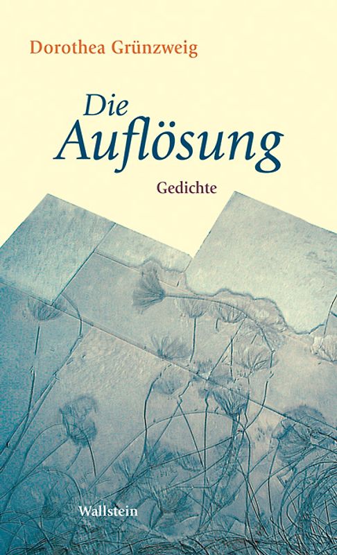 Die Auflösung
