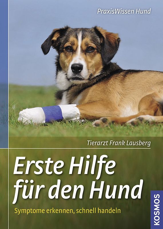 Erste Hilfe für den Hund