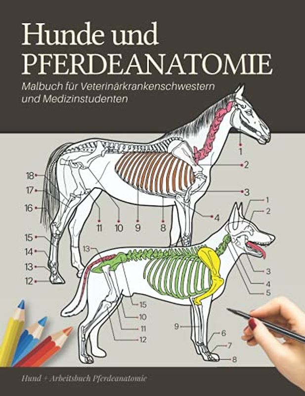 Hunde und Pferdeanatomie Malbuch für Veterinärkrankenschwestern und Medizinstudenten - Hund + Arbeitsbuch Pferdeanatomie: Lernen Sie den ... Pferdeanatomie | anatomie der haustiere