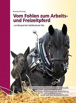 Vom Fohlen zum Arbeits- und Freizeitpferd - am Beispiel der Kaltblutstute Ella