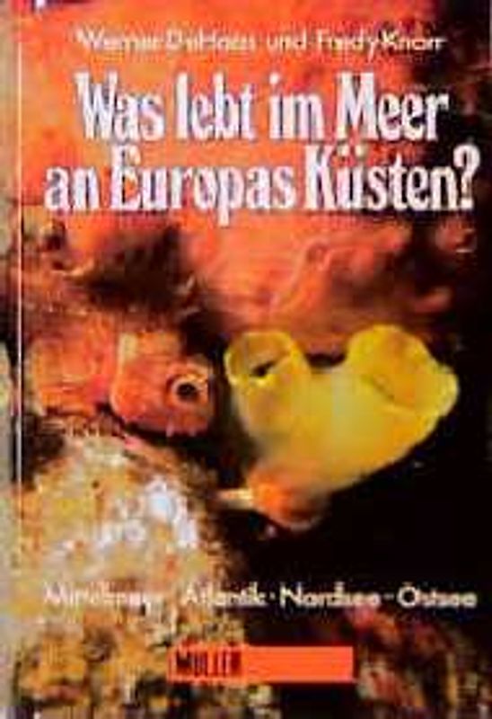 Was lebt im Meer an Europas Küsten?. Mittelmeer - Atlantik - Nordsee - Ostsee