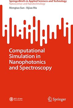 Computational Simulation in Nanophotonics and Spectroscopy