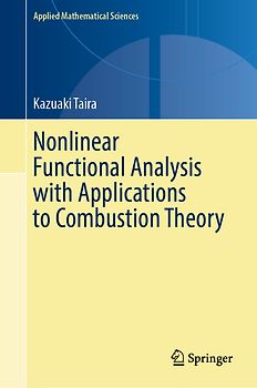 Nonlinear Functional Analysis with Applications to Combustion Theory