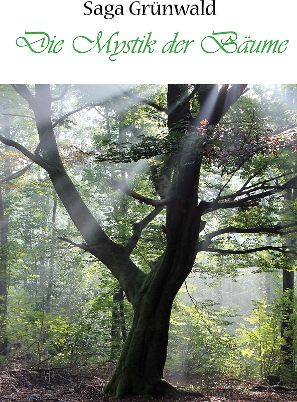 Die Mystik der Bäume