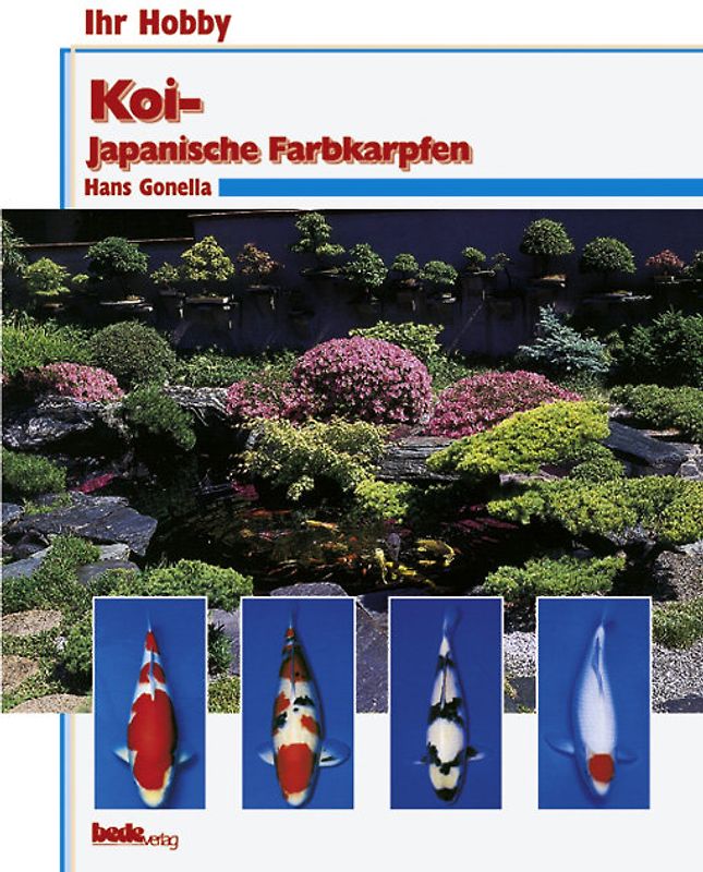 Koi - Japanische Farbkarpfen
