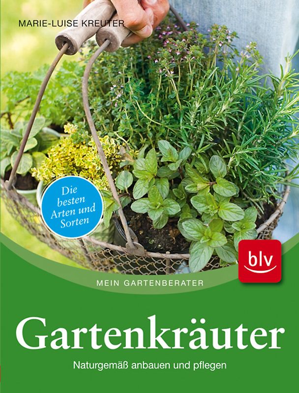 Gartenkräuter