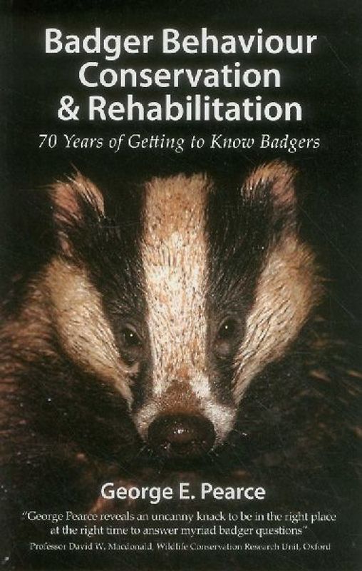 Badger Behaviour Conservation & Rehabilitation