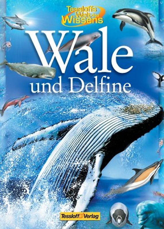 Wale und Delfine