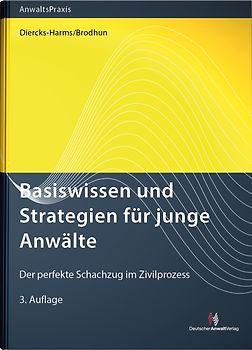 Basiswissen und Strategien für junge Anwälte