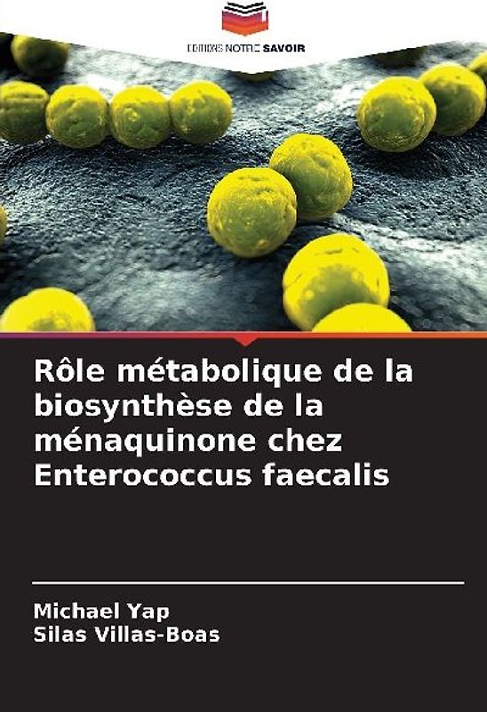 Rôle métabolique de la biosynthèse de la ménaquinone chez Enterococcus faecalis