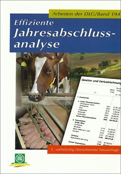 Effiziente Jahresabschlussanalyse