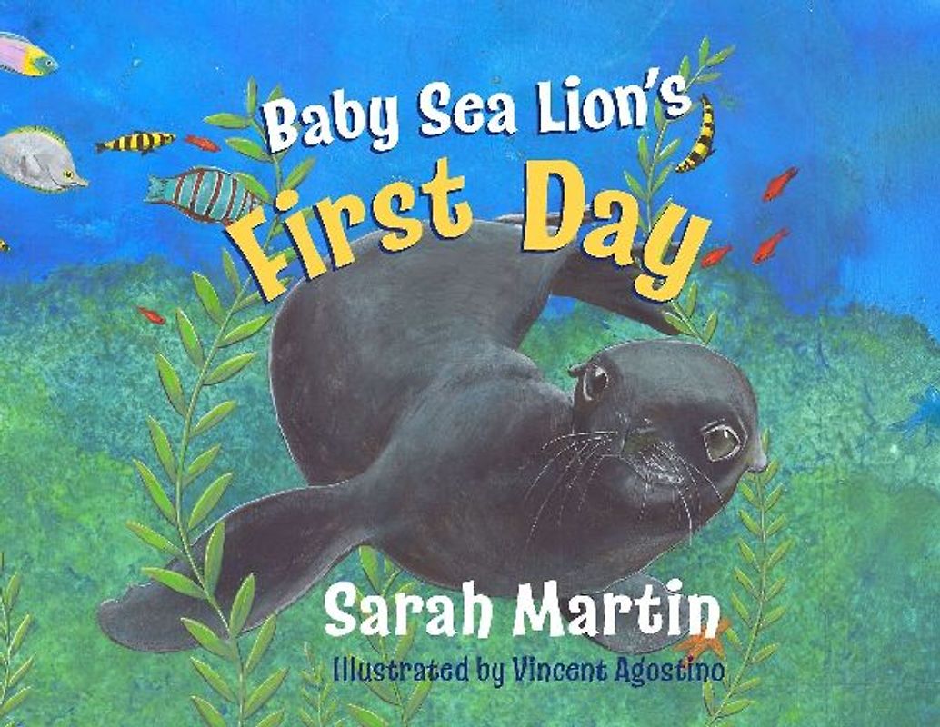 Baby Sealion's First Day