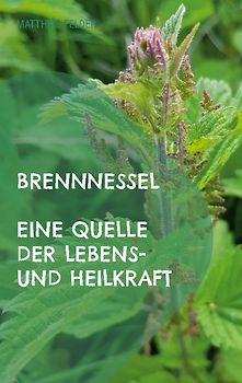 Brennnessel
