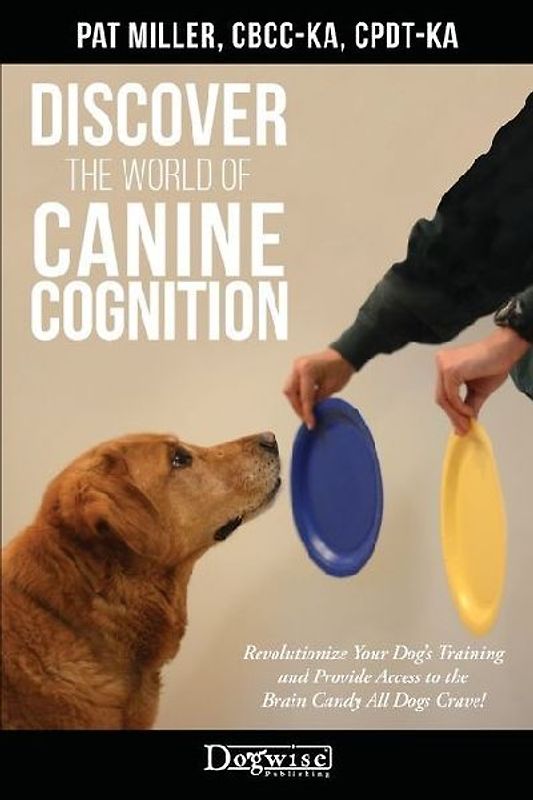 Discover The World Of Canine Cognition