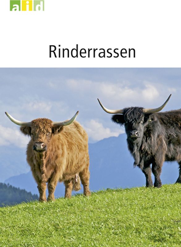 Rinderrassen