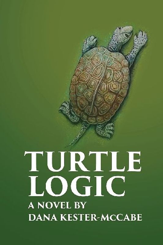 Turtle Logic