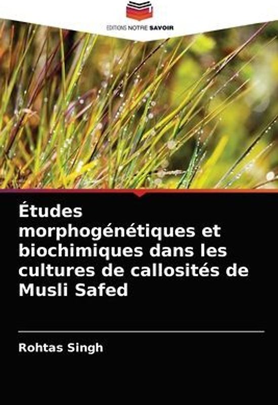 Études morphogénétiques et biochimiques dans les cultures de callosités de Musli Safed