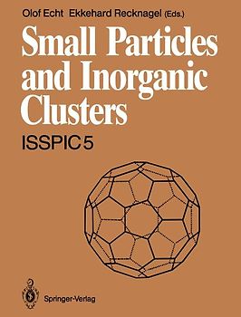 Small Particles and Inorganic Clusters