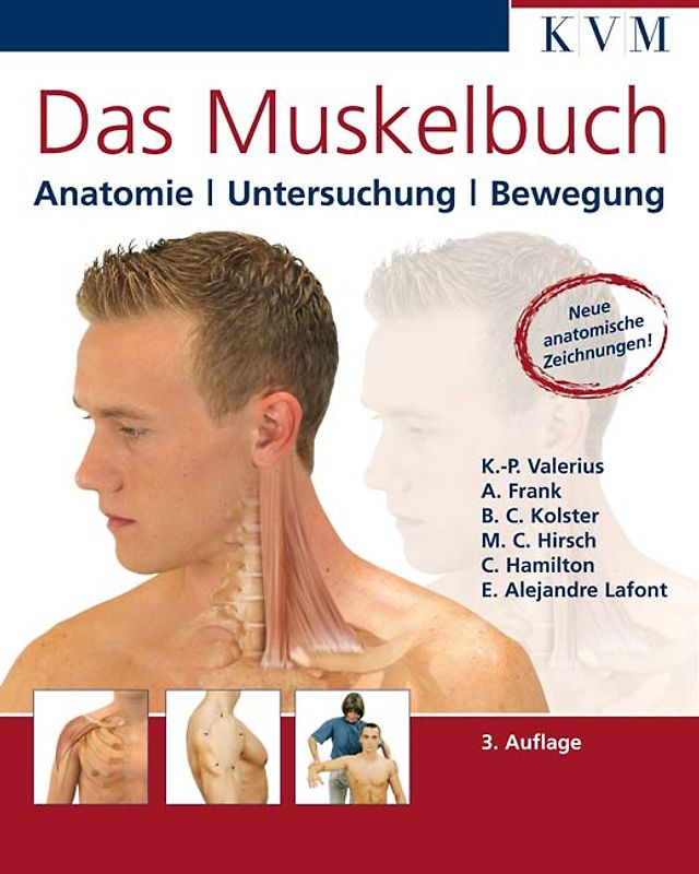 Das Muskelbuch