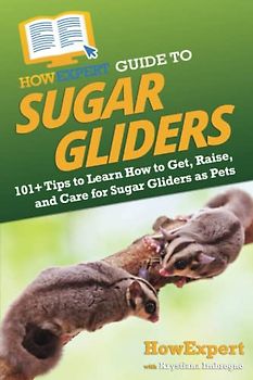 HowExpert Guide to Sugar Gliders: 101+ Tips to Learn How to Get, Raise, and Care for Sugar Gliders as Pets