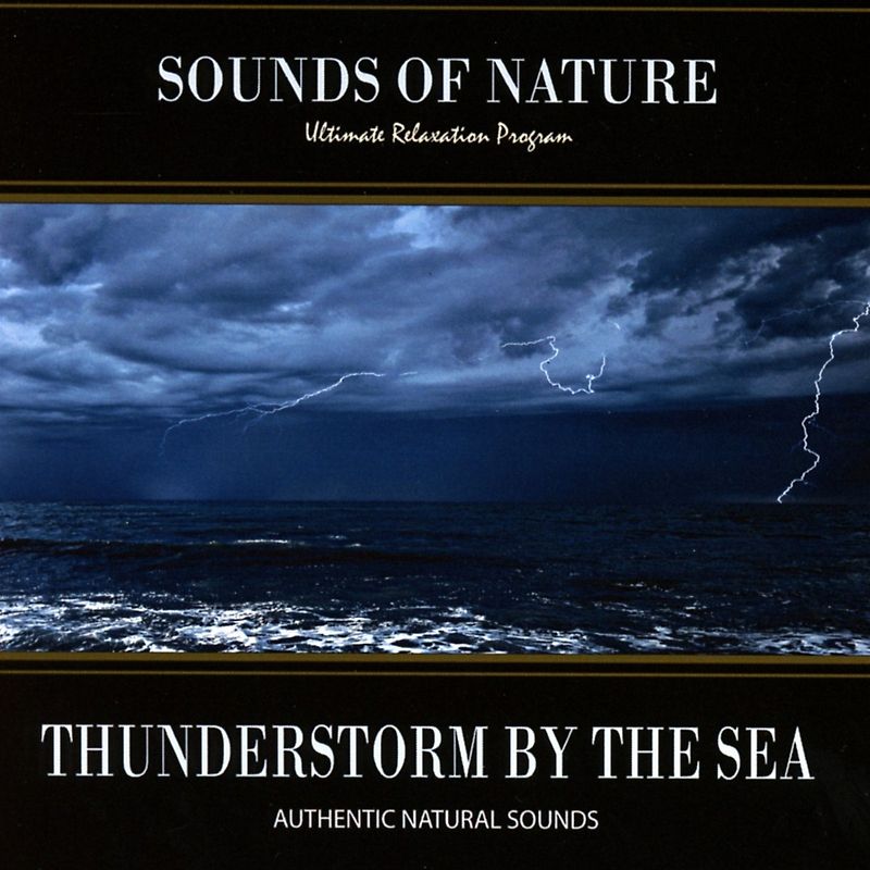 Thunderstorm By The Sea