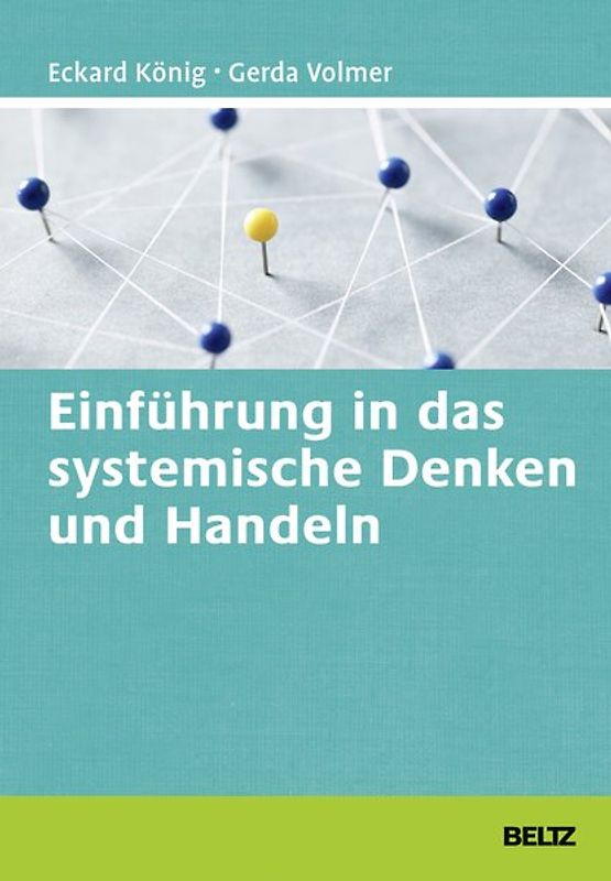 Einführung in das systemische Denken und Handeln