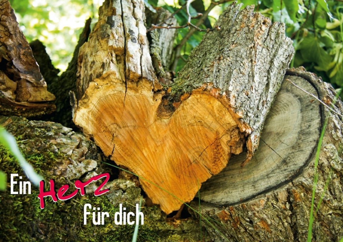 Ein Herz für dich (Posterbuch DIN A3 quer)