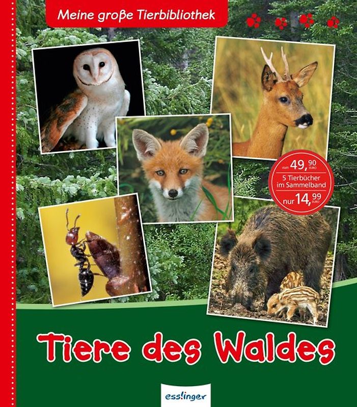 Meine große Tierbibliothek: Tiere des Waldes
