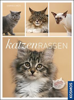 Katzenrassen