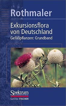 Rothmaler - Exkursionsflora von Deutschland. Bde. 1-4: Gesamtwerk. (1994-2005) / Gefässpflanzen: Grundband