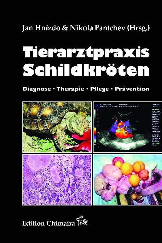 Tierarztpraxis Schildkröten