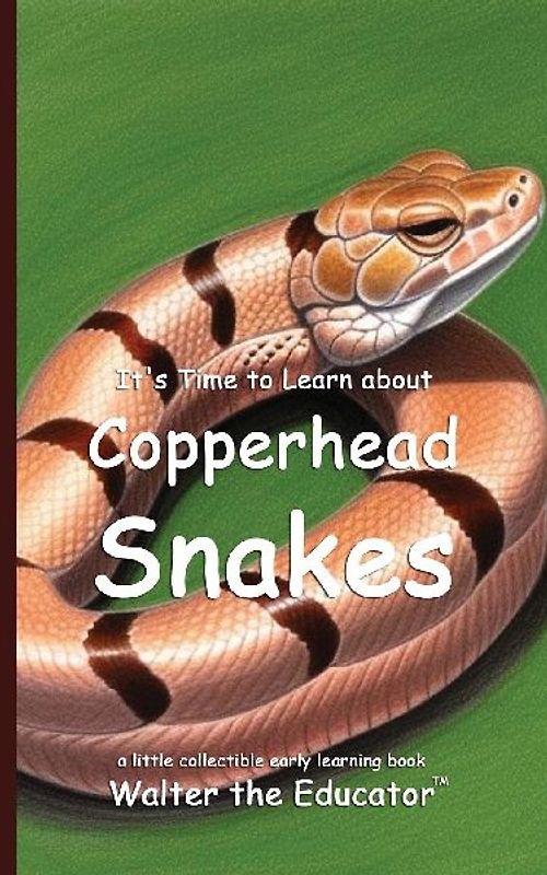 It's Time to Learn about Copperhead Snakes