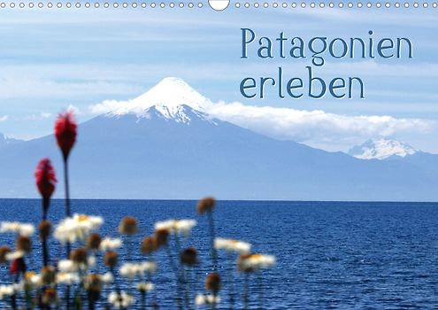 Patagonien erleben (Posterbuch DIN A4 quer)